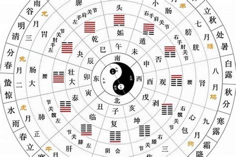 庚五行|天干地支五行对照表